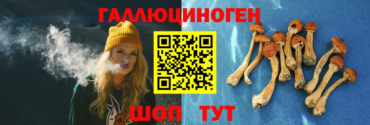 Псилоцибиновые грибы мухоморы Мыски
