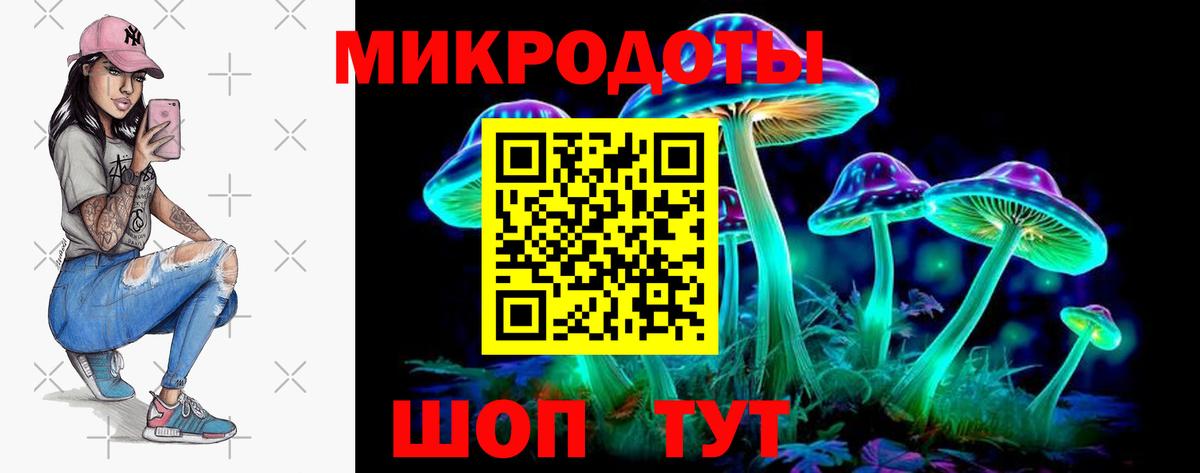 Мыски  Псилоцибиновые грибы Psilocybine cubensis  Галлюциногенные грибы Cubensis  Вход с VPN 